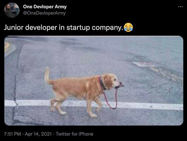 Jr. Developer