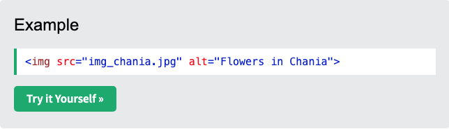 W3Schools Snippet HTML Images